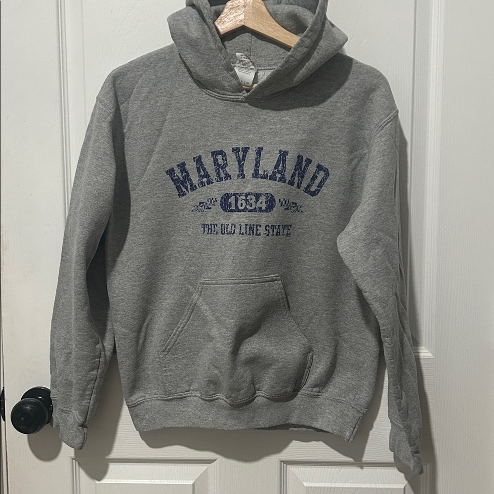 Gildan Gray Heavy Blend Hoodie